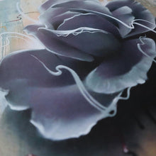 Load image into Gallery viewer, Rose - Bublegum