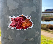 Load image into Gallery viewer, Sticker Pack nº1 - Bublegum